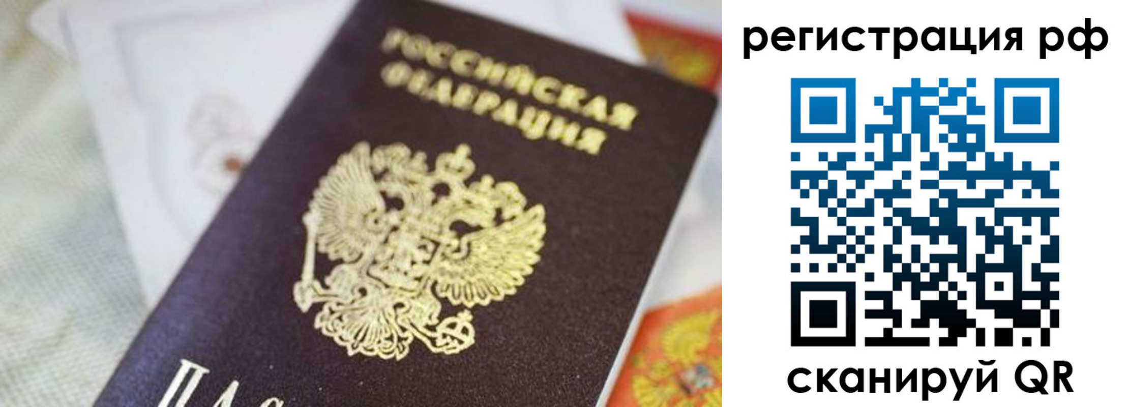 прописка гарантия в Камызяке